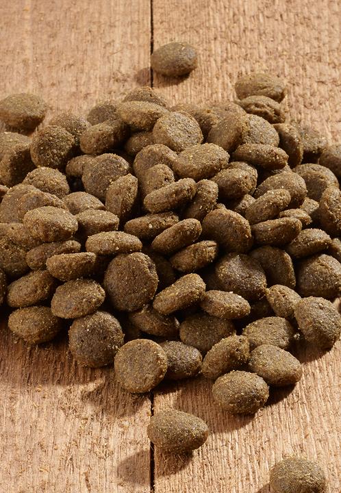 Actual product image Vet Concept Dog Intestinal - 3 kg