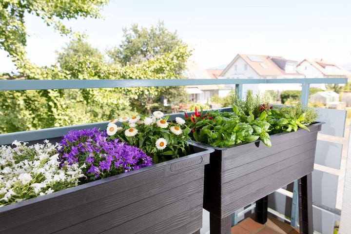 Actual product image Garantia Urban