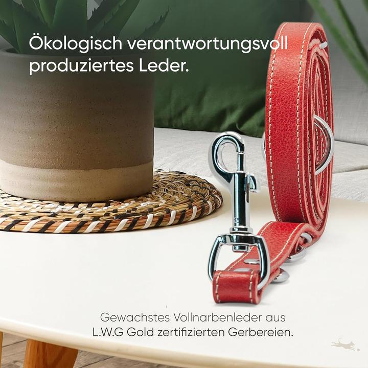 Produktbild Freudentier Verstellbare Hundeleine Amstelpark mit Leinensäckchen (Hund)