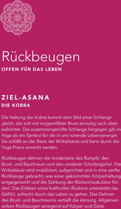 Produktbild Yoga auf dem Stuhl für Senioren (Deutsch, Christine Grein-de Lima, 2022)