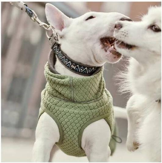 Produktbild Hurtta Razzle-Dazzle Halsband Schwarz 55-65 cm (56, 58, 60, 62, Hund, Allgemein)
