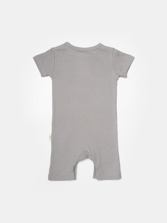 Actual product image BabyCosy 2 Pcs short sleeved Rompers (62)