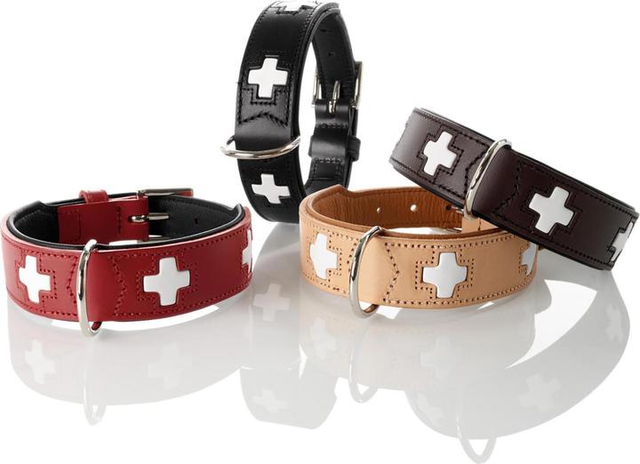 Immagine prodotto Hunter Swiss (Cane, Generale)