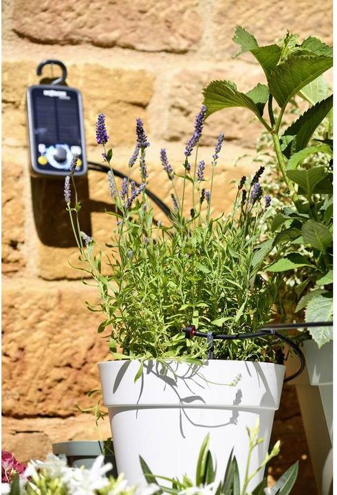 Image du produit Hozelock 100-101-033 Blumenkastenbewässerung (Minuterie eau)