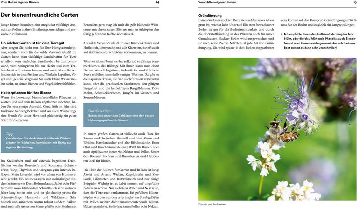 Actual product image Imkern – Bienenhaltung für Einsteiger (German, Pia Schad, 2022)