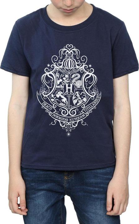 Actual product image Boys Hogwarts Draco Dormiens Crest T-Shirt (152, 158)