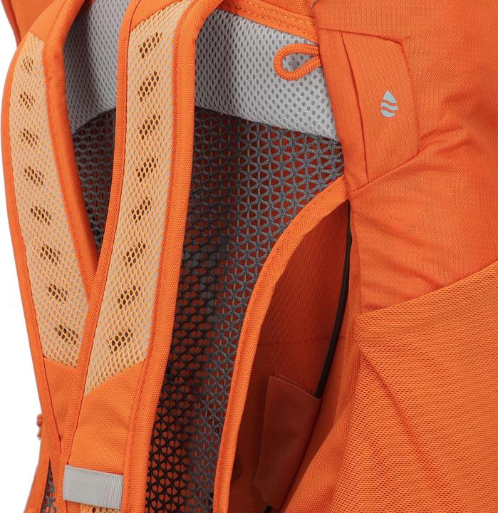 Produktbild Deuter AC Lite 22 (22 l)