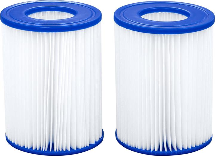 Actual product image Bestway filter cartridge