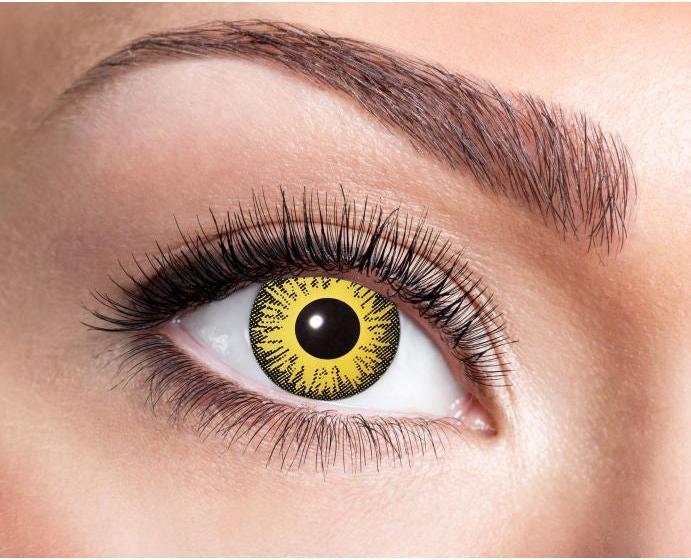 Image du produit Zoelibat Tournesol (Jaune/Noir)
