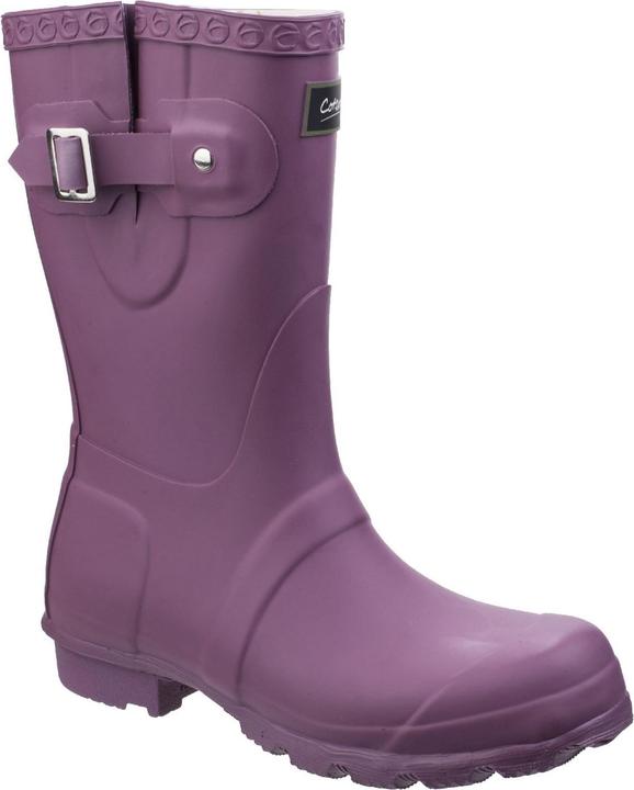 Viola
