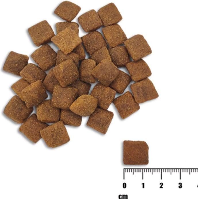 Produktbild Raw Paleo Healthy Grain Adult Salmon & Barley (Adult, 1 Stk., 10000 g)