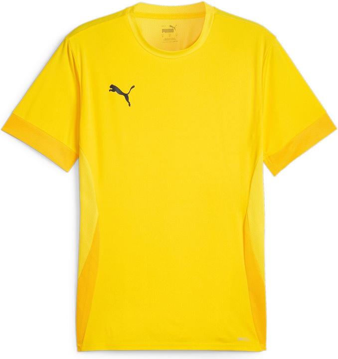 Puma teamGOAL Matchday Jersey