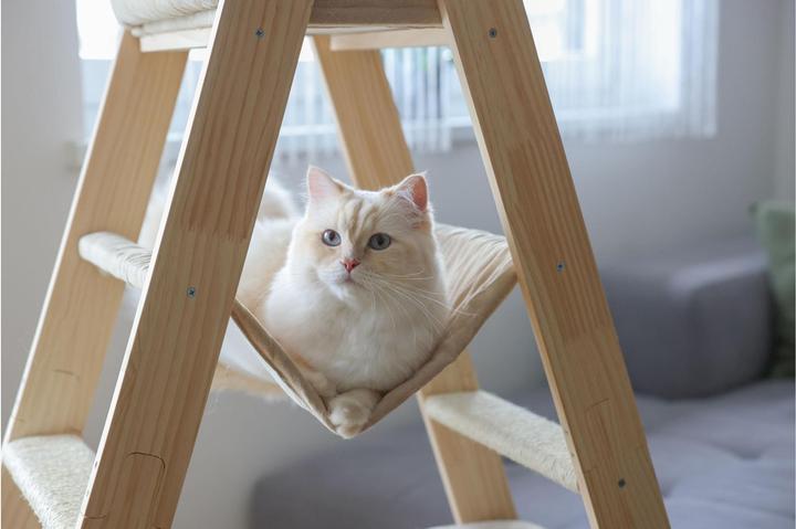 Produktbild Kerbl Kratzbaum Ladder für Katzen (134 cm, Beige)