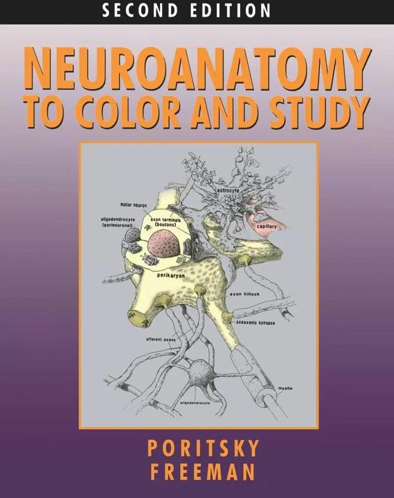 Produktbild Neuroanatomy to Colour and Study (Englisch, Ray Poritsky, Barbara K Freeman, 2011)