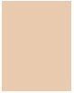 Actual product image Dermacol BB Cream Hyaluron Beauty Cream All In One (01 sand)