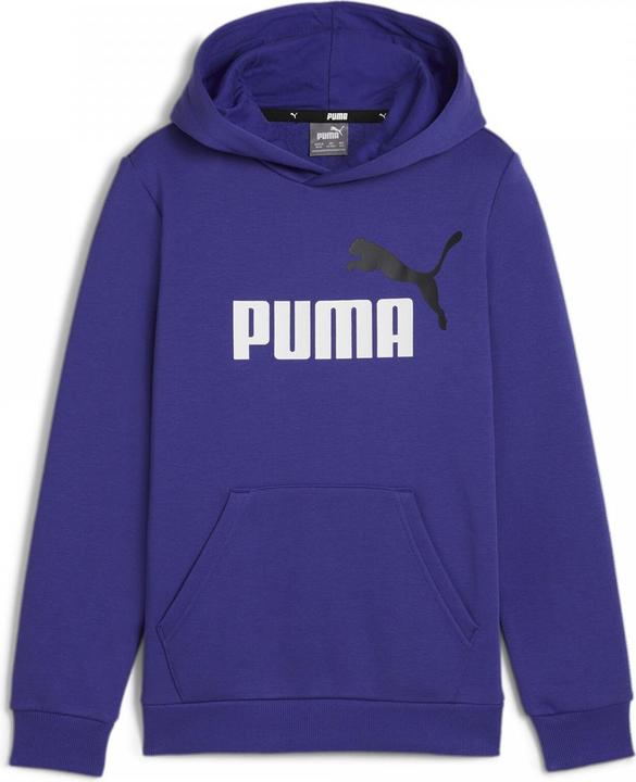 Actual product image Puma ESS+ 2 Col Big Logo Hoodie FL B (128)