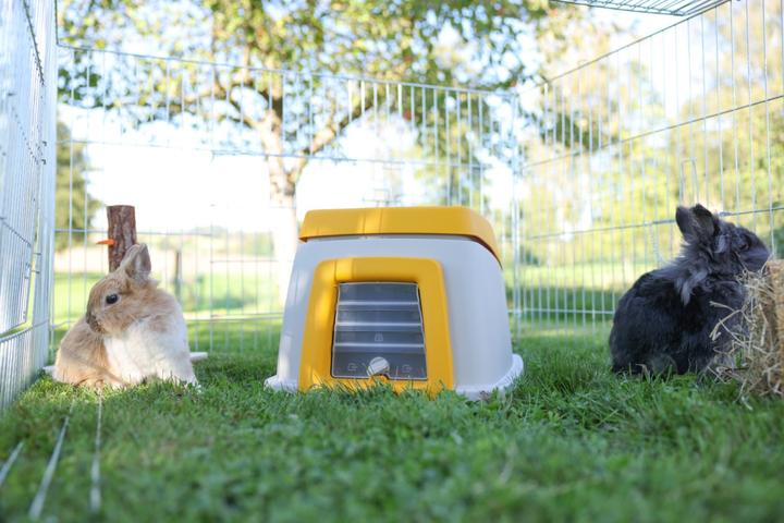 Actual product image Kerbl Bunny Base rabbit house without a continent