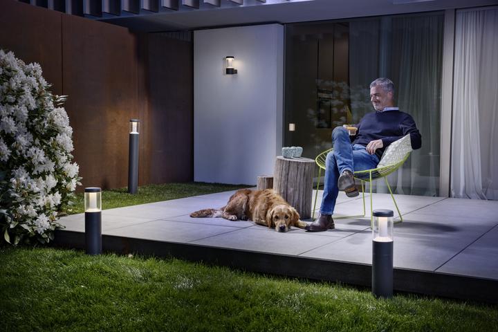 Actual product image Ledvance Endura Style Lantern Modern (610 lm, IP54)