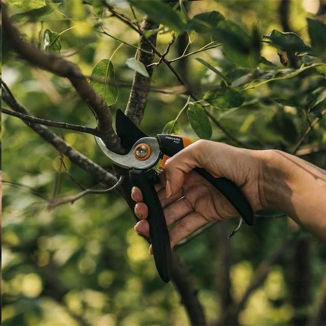 Immagine prodotto Fiskars P321 SingleStep