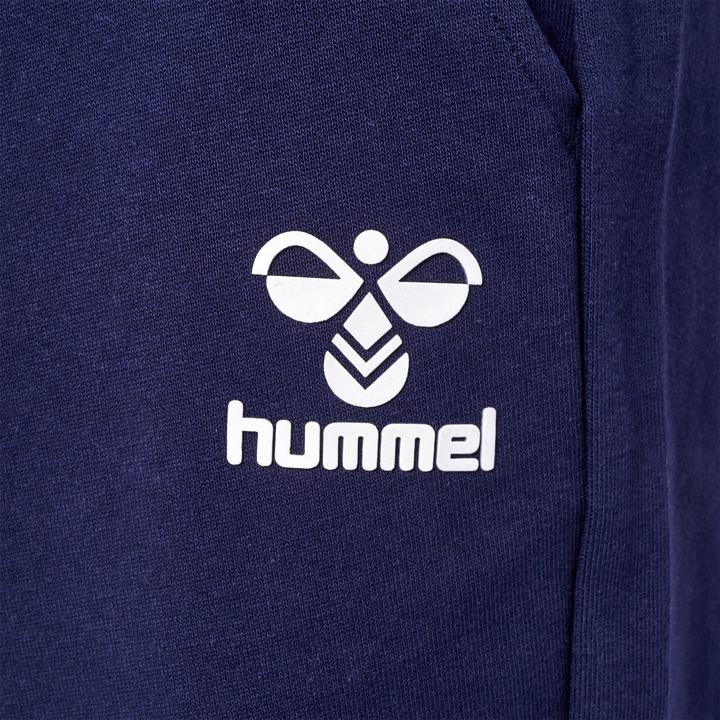 Image du produit hummel Hmlicons Shorts Reguliers (XXL)