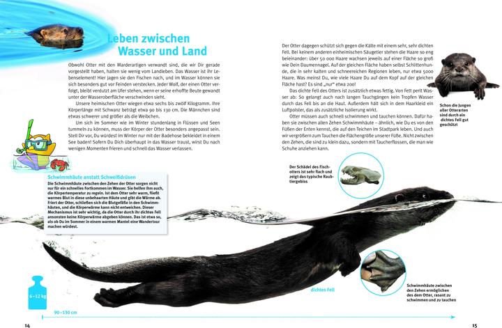 Immagine prodotto Entdecke die Otter (Tedesco, Krüger, Hans-Heinrich(Dr), 2023)