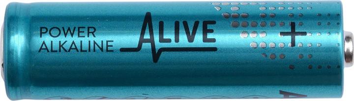 Actual product image Alkaline battery (10 pcs., AA, 2800 mAh)