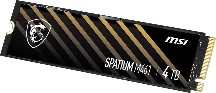 Actual product image MSI Spatium M461 (4000 GB, M.2 2280)