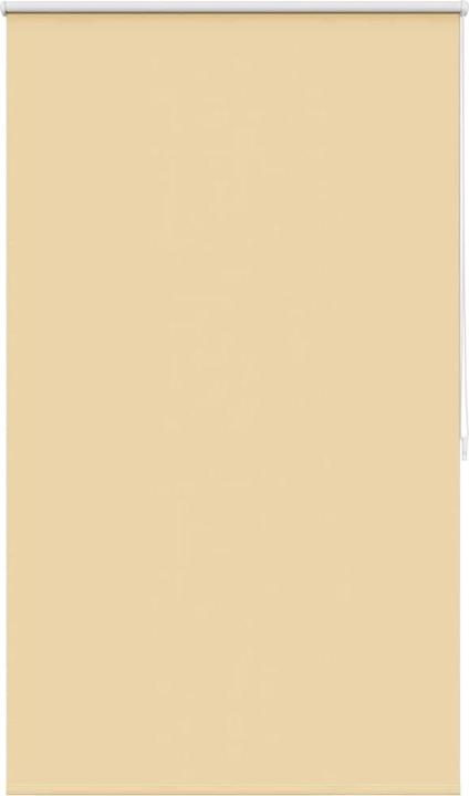 Image du produit VidaXL Rollo (80 x 175 cm)