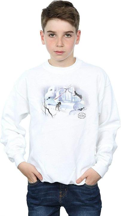 Produktbild Disney Bambi Snow Sweatshirt Jungen (152, 158)