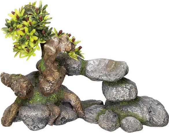 Immagine prodotto Nobby Ornamenti ad acqua BONSAI (Spelonca, altre voci)