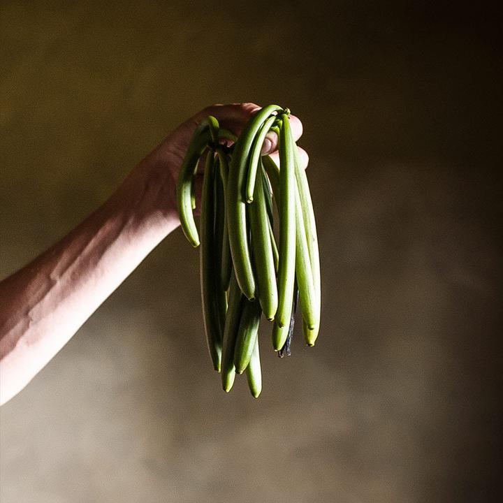 Produktbild 1001 Organic Vanille Schoten (9 g)