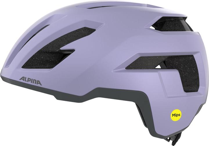 Produktbild ALPINA SPORTS Taunus Gravel Mips (55 - 59 cm)
