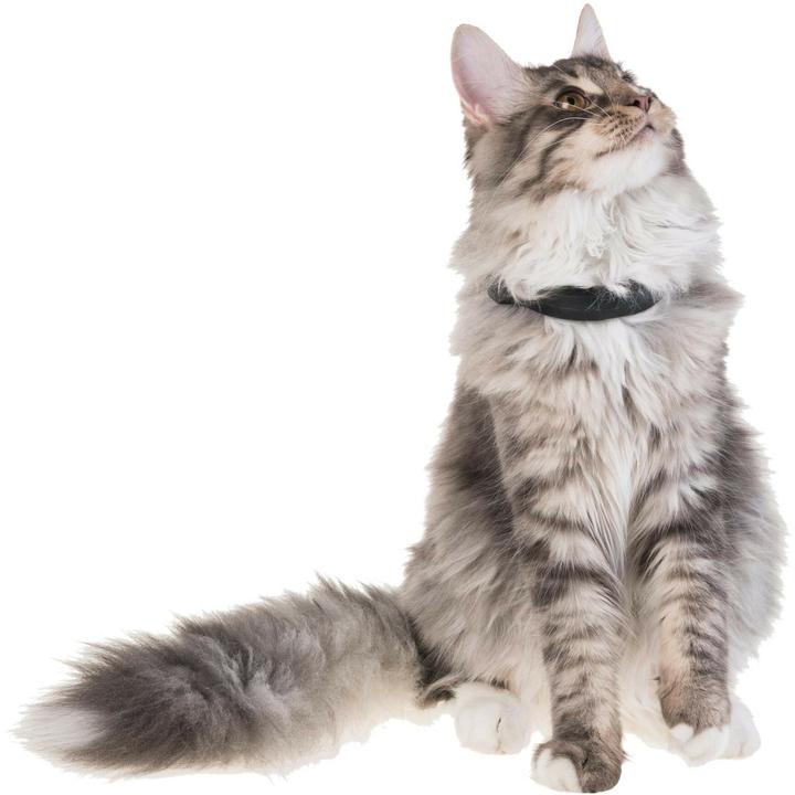 Produktbild PetTracer GPS-Katzenhalsband Zusatzhalsband (Katze, Allgemein)