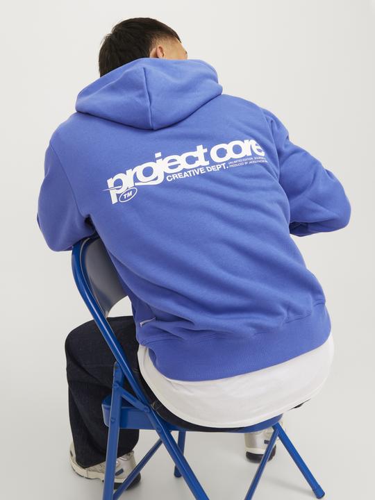 Actual product image Jack & Jones Jcounion Print Sweat Hood Noos (XS)