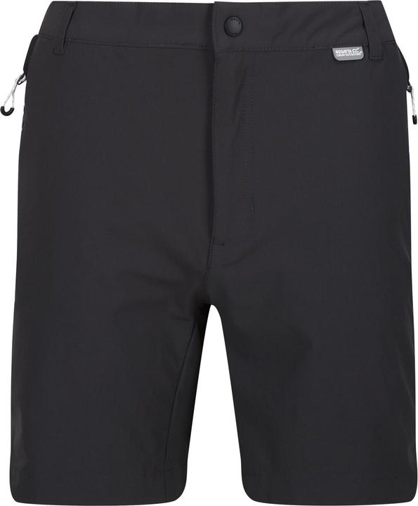 Actual product image Regatta Mens Mountain II Shorts (46 D)