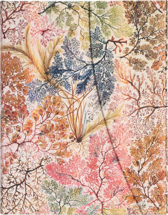 Actual product image Paperblanks Notebook PB Ultra lin.Anemone (Lined, Hardcover)