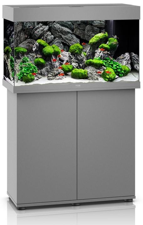 Image du produit Juwel Aquarium Aquarium Rio 125, 81x36x50cm, gris (125 l)