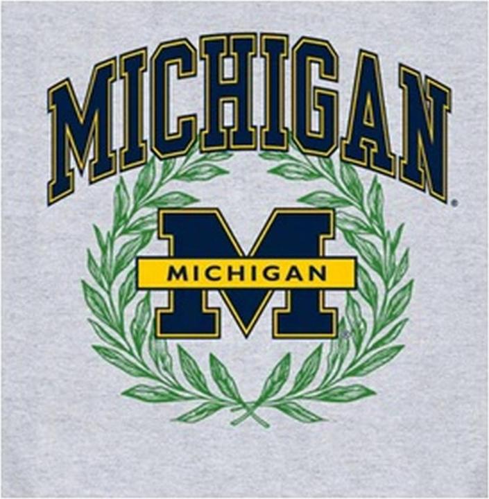 Immagine prodotto Park Fields Felpa Università del Michigan Adulto Unisex (XL)