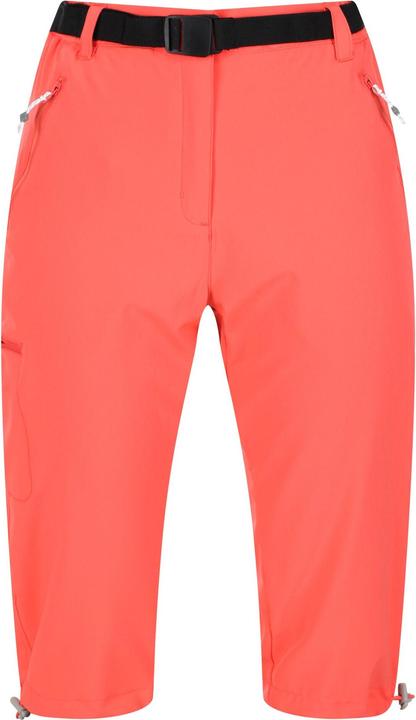 Actual product image Regatta Womens/Ladies Xert Stretch Casual Shorts (46 D)