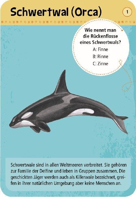 Produktbild Expedition Natur 50 Meerestiere, 5.9821
