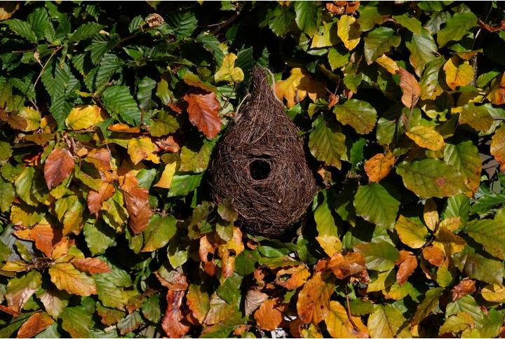 Actual product image Wildlife World Bird's Nest
