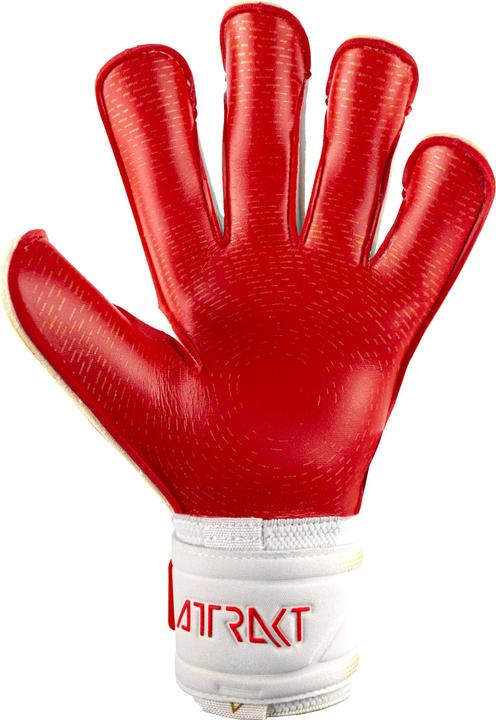 Actual product image Reusch X8811589 (8.5)
