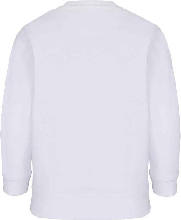 Actual product image Sols Childrens/Kids Columbia Sweatshirt (104)