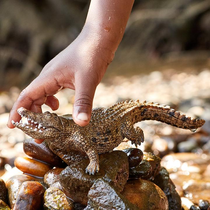 Actual product image Schleich Crocodile