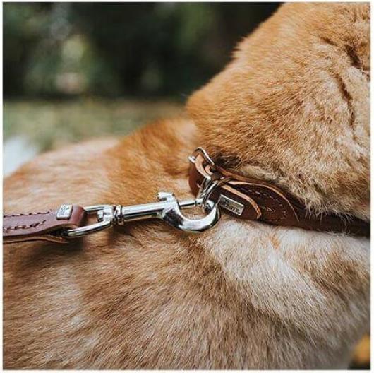 Immagine prodotto Hunter Collare rotondo e morbido (S, M, Cane)