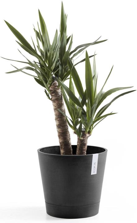 Immagine prodotto Ecopots Venezia (30 cm)