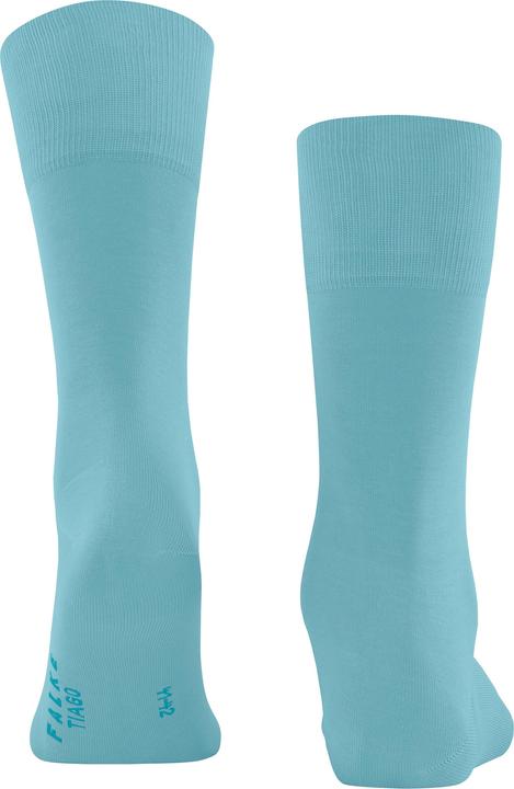 Actual product image Falke Tiago Men (45 - 46)