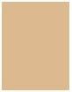 Actual product image MAC Cosmetics Pro Longwear Concealer (NC25)