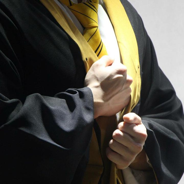 Produktbild Cinereplicas Harry Potter: Hufflepuff (L)