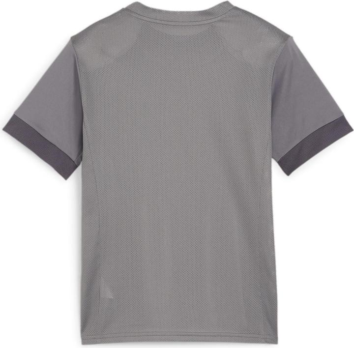 Actual product image Puma teamGOAL Matchday Jersey jr (164)